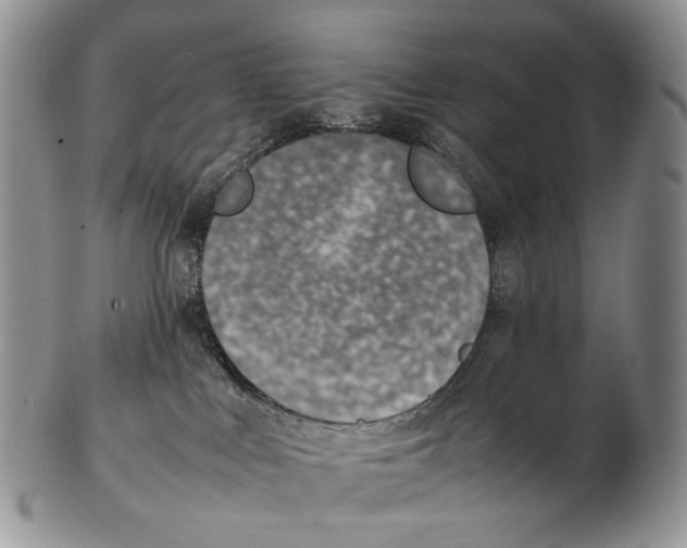 X0000102270043200808221447