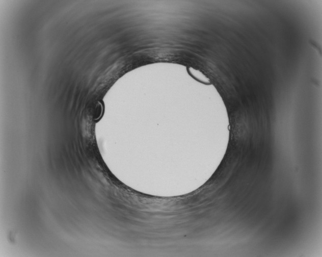 X0000102270044200808221447
