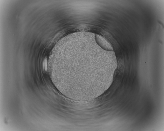 X0000102270046200808221447