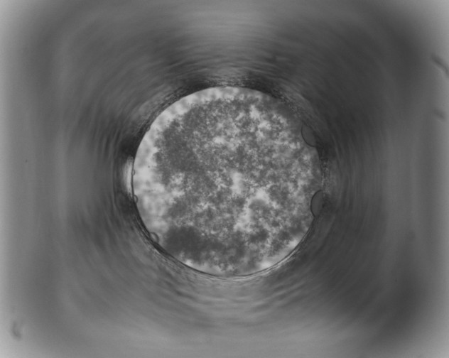 X0000102270047200808221447