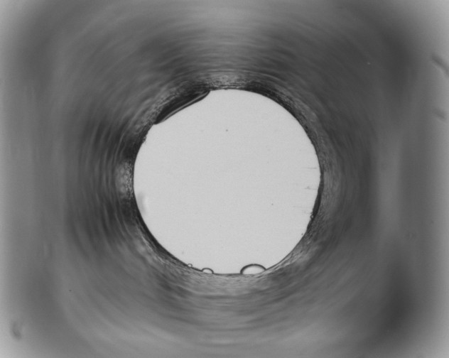X0000102270048200808221447