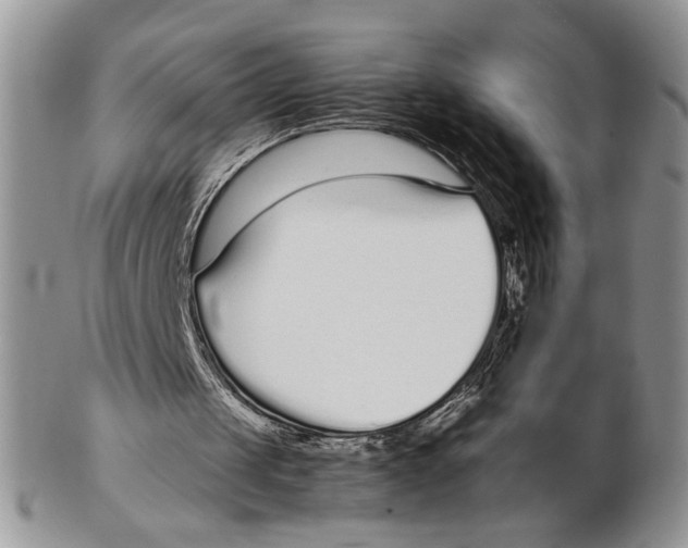 X0000102270049200808221447