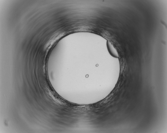 X0000102270050200808221447