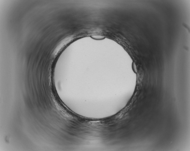X0000102270054200808221447