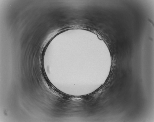 X0000102270055200808221447