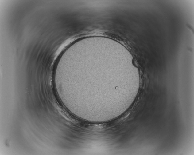 X0000102270056200808221447