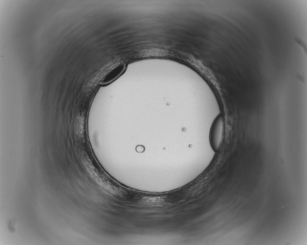 X0000102270057200808221447