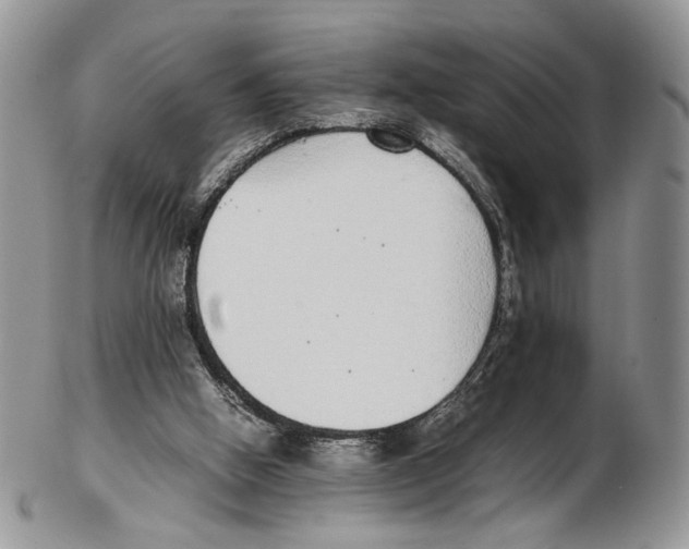 X0000102270058200808221447