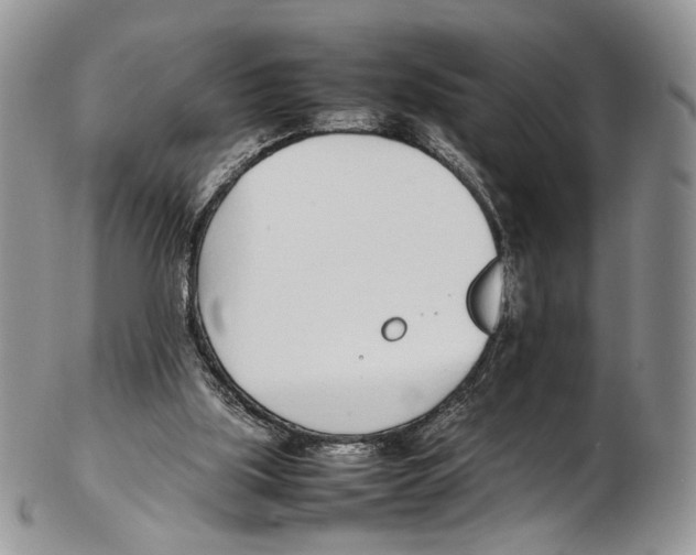 X0000102270059200808221447