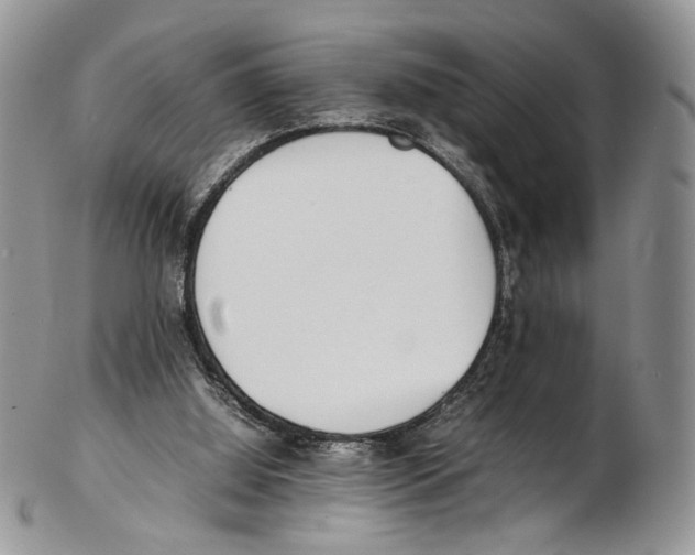 X0000102270060200808221447