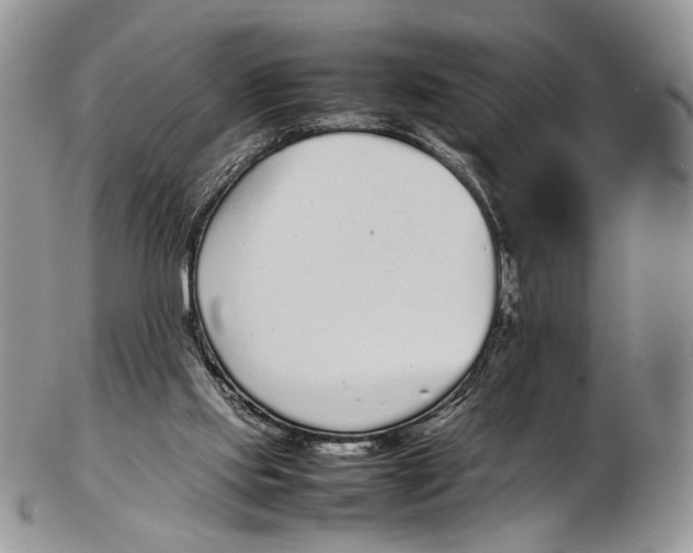 X0000102270061200808221447