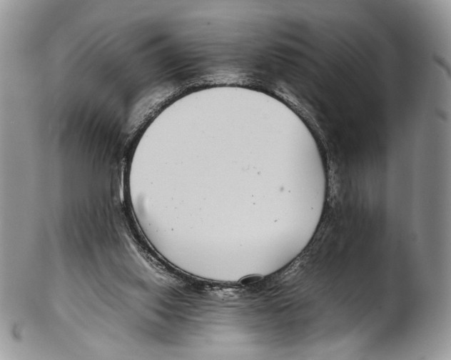 X0000102270062200808221447