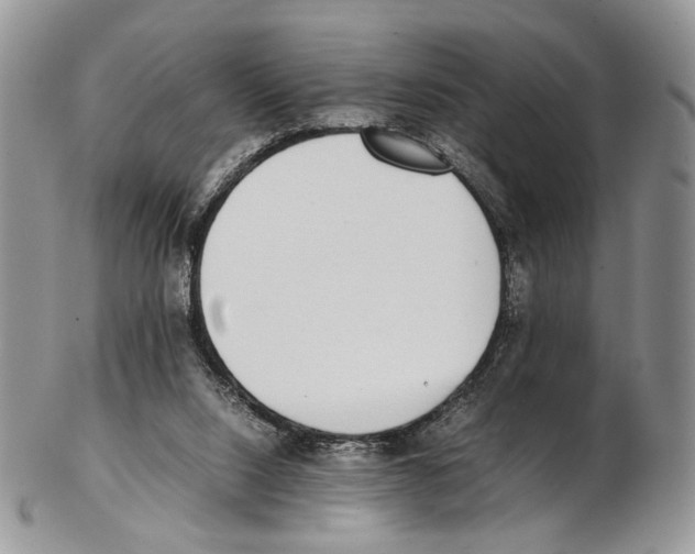 X0000102270064200808221447