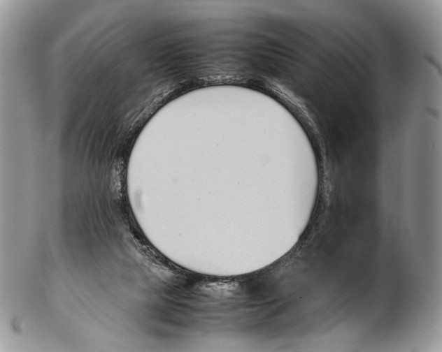 X0000102270065200808221447