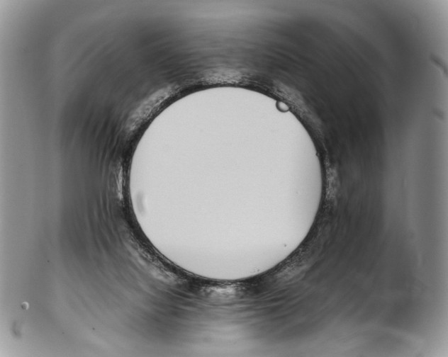 X0000102270068200808221447