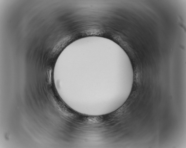 X0000102270070200808221447