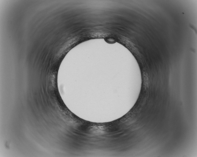 X0000102270071200808221447