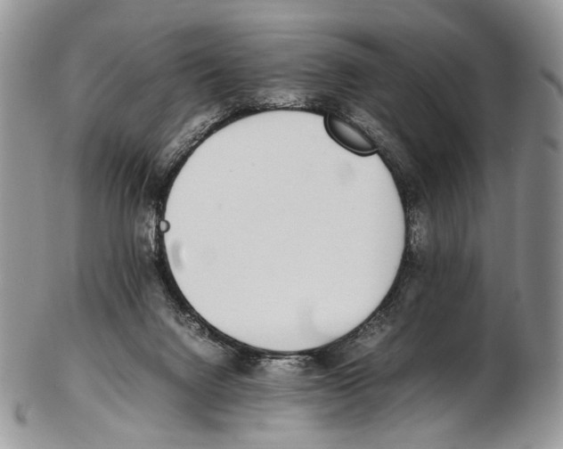 X0000102270072200808221447