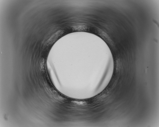 X0000102270073200808221447