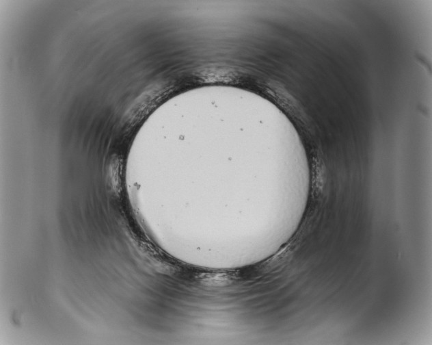 X0000102270074200808221447