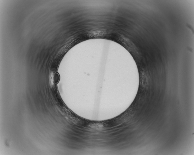 X0000102270075200808221447