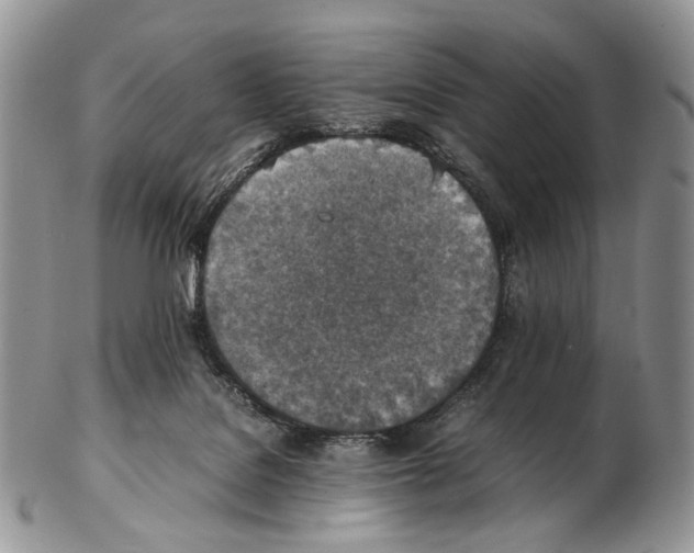 X0000102270076200808221447