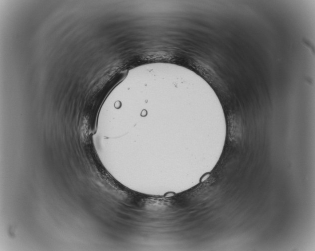 X0000102270077200808221447