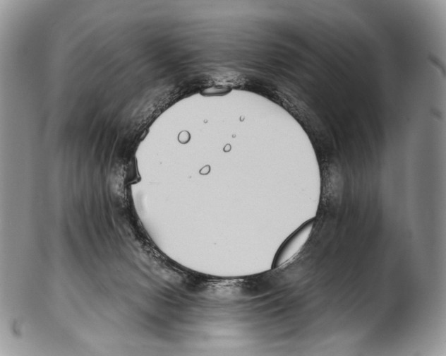 X0000102270078200808221447