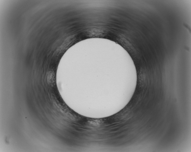X0000102270079200808221447