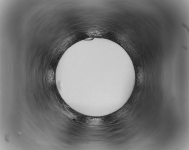 X0000102270081200808221447