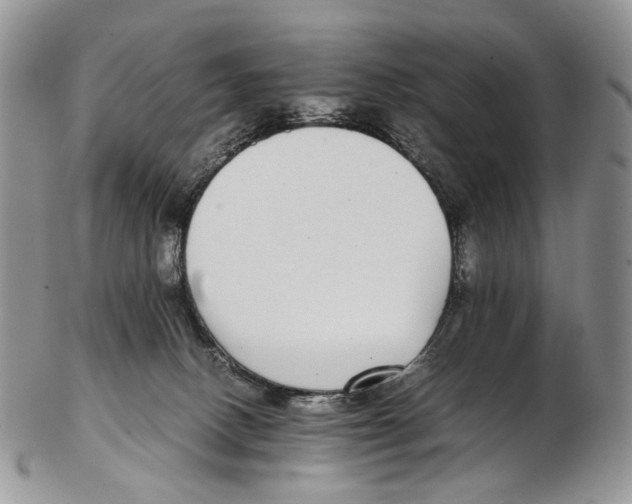 X0000102270082200808221447