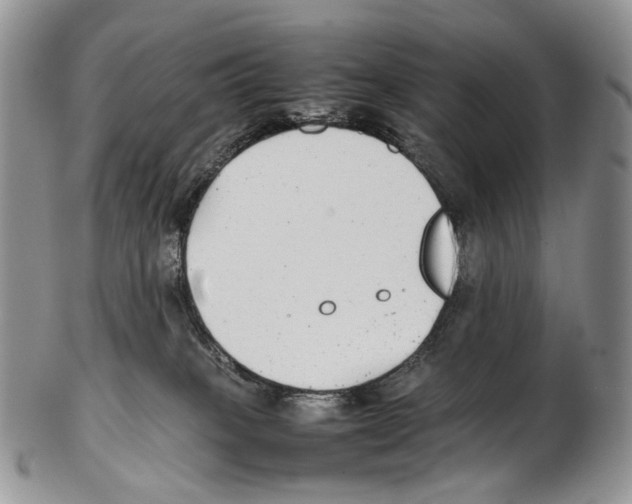 X0000102270085200808221447