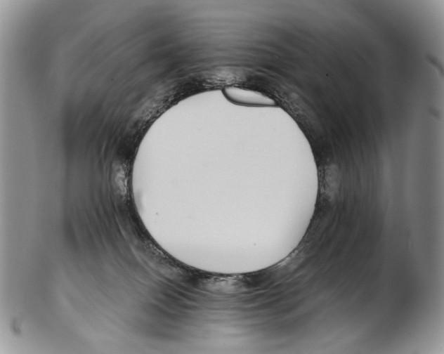 X0000102270086200808221447