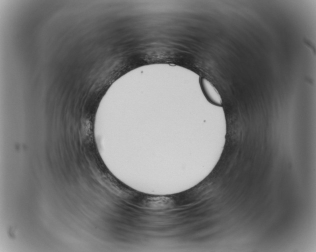 X0000102270087200808221447