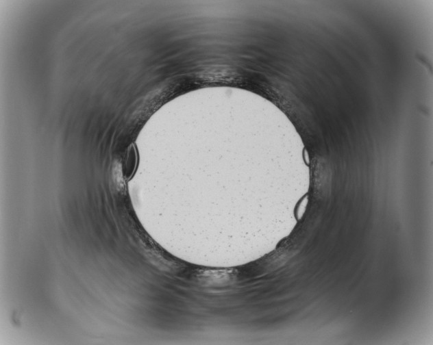 X0000102270089200808221447