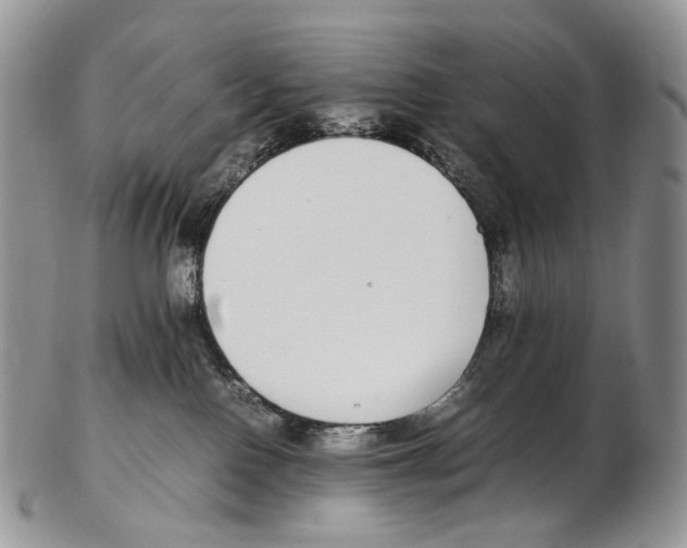 X0000102270090200808221447