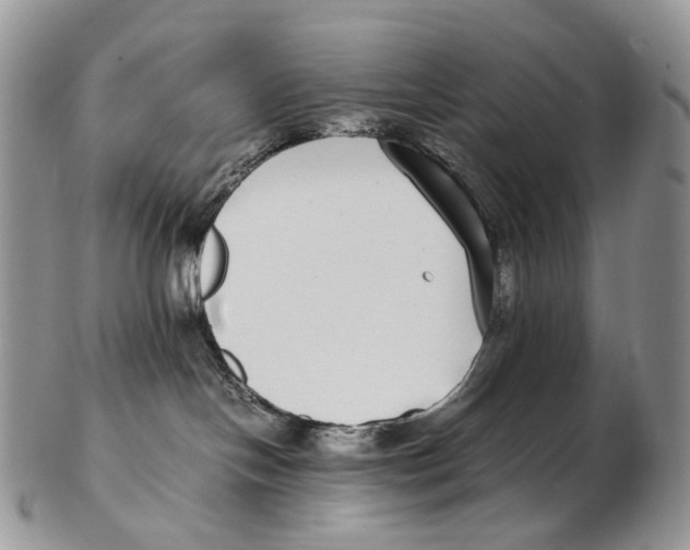 X0000102270094200808221447