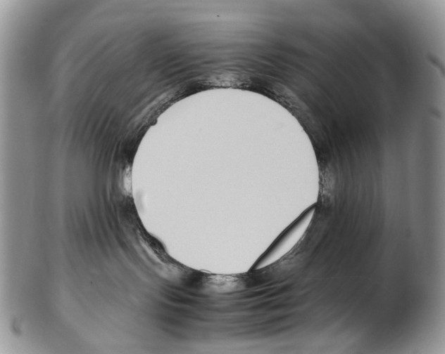 X0000102270095200808221447