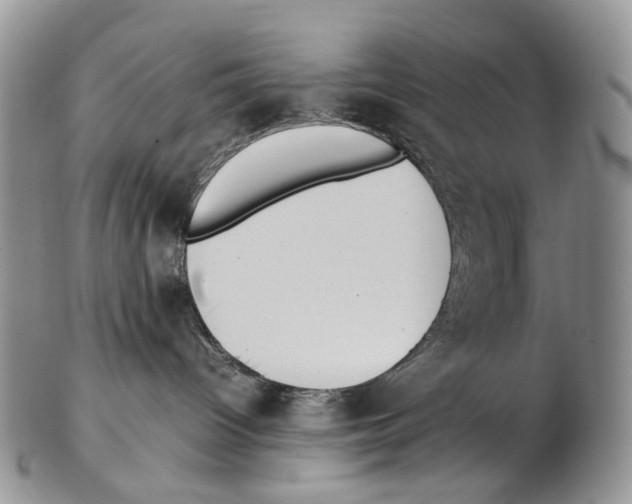 X0000102270096200808221447