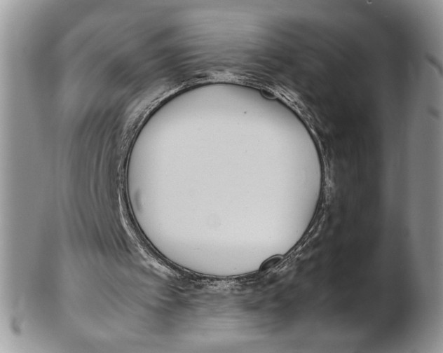 X0000102270097200808221447