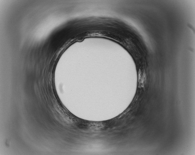 X0000102270099200808221447