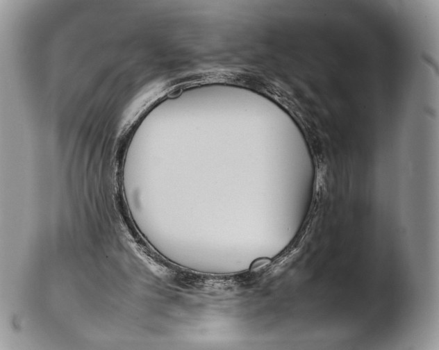 X0000102270101200808221447
