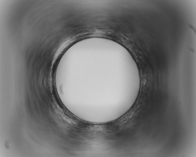 X0000102270102200808221447