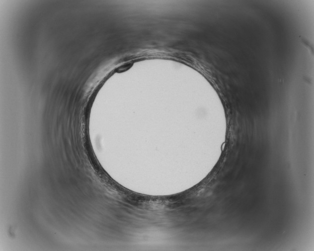X0000102270103200808221447