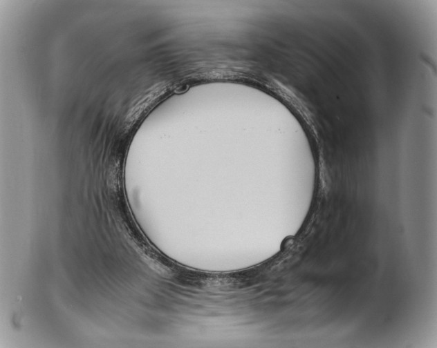 X0000102270105200808221447