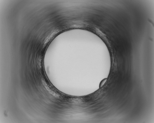 X0000102270106200808221447