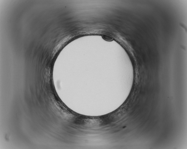 X0000102270107200808221447
