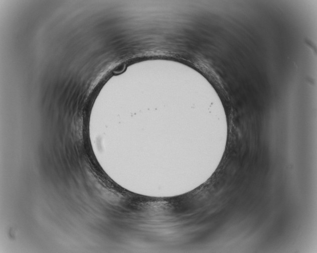 X0000102270108200808221447