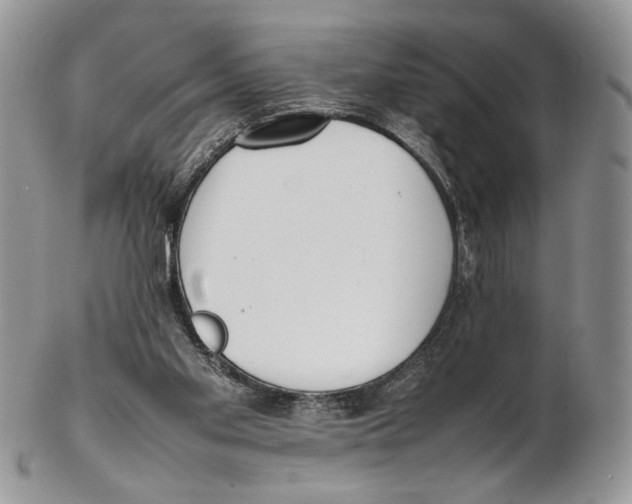 X0000102270109200808221447