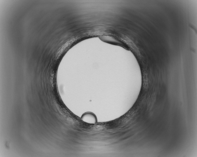 X0000102270111200808221446